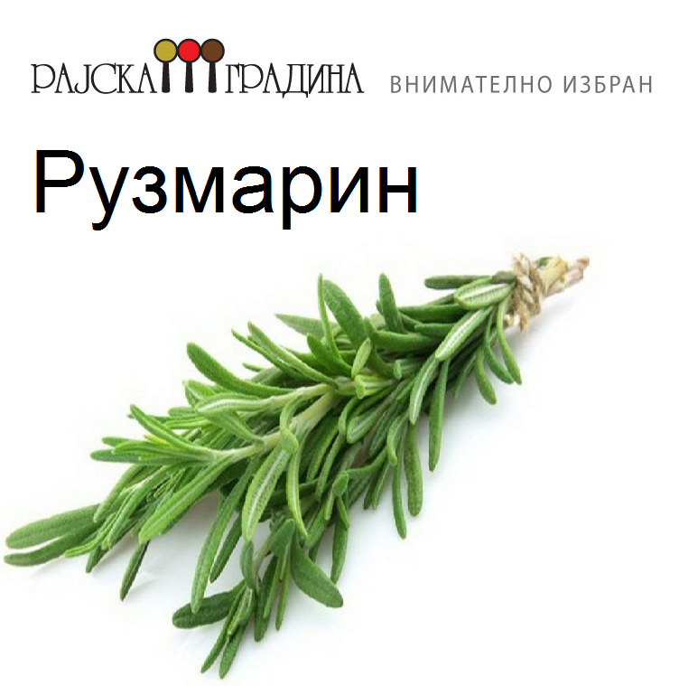 Зачини - Рузмарин